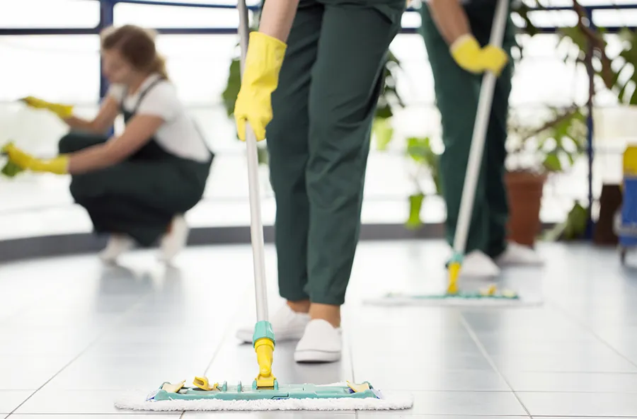 Professional Floor Cleaning in Cary, NC